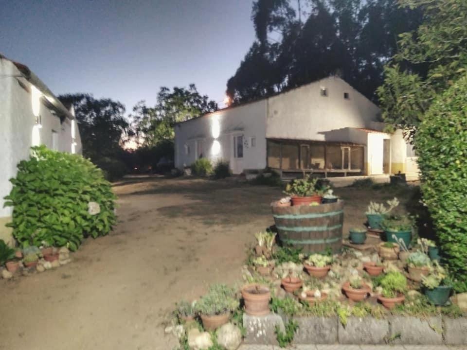 Quinta Da Mesa Βίλα Macinhata do Vouga Εξωτερικό φωτογραφία