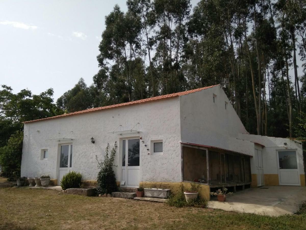 Quinta Da Mesa Βίλα Macinhata do Vouga Εξωτερικό φωτογραφία